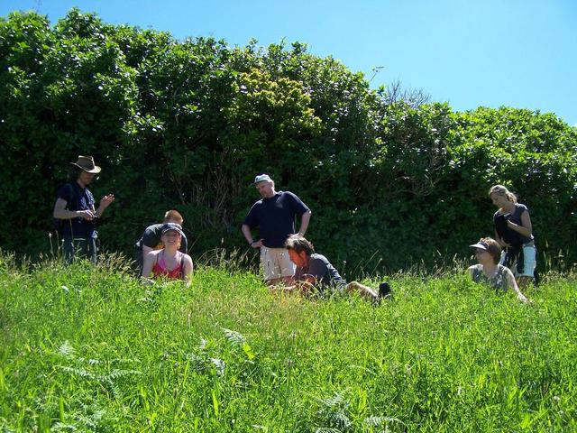 Picknick am Wegesrand