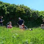 Picknick am Wegesrand