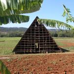 Eine weit verbreitete Trockenscheune zum Trocknen der Tabakblätter im Vinales Tal