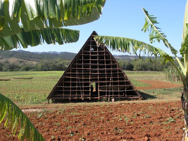 Eine weit verbreitete Trockenscheune zum Trocknen der Tabakblätter im Vinales Tal