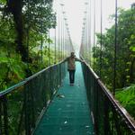 Hängebrücke im Monteverde NP