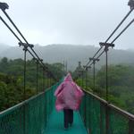 Regen im Monteverde NP