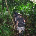 Wanderung im Manu Nationalpark