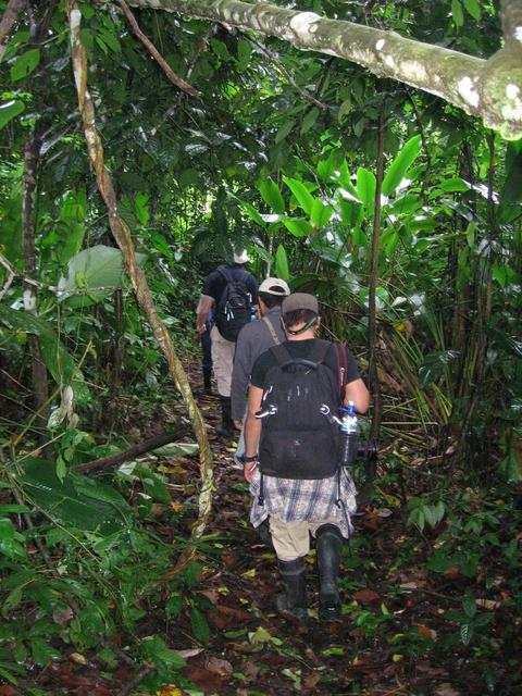 Wanderung im Manu Nationalpark