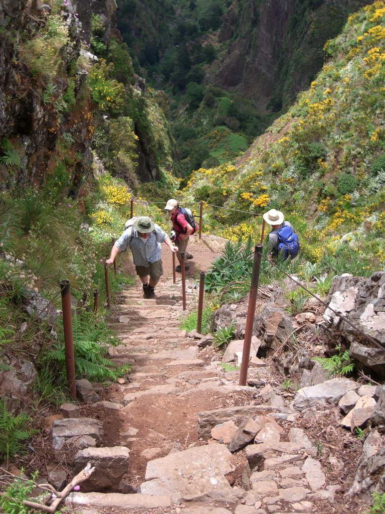 auf dem Weg zum Pico das Torres