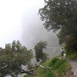 Felsweg im Zentralgebirge von Madeira