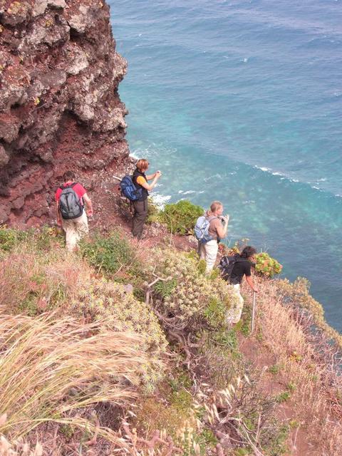 Steilküstenwanderung im Norden Madeiras