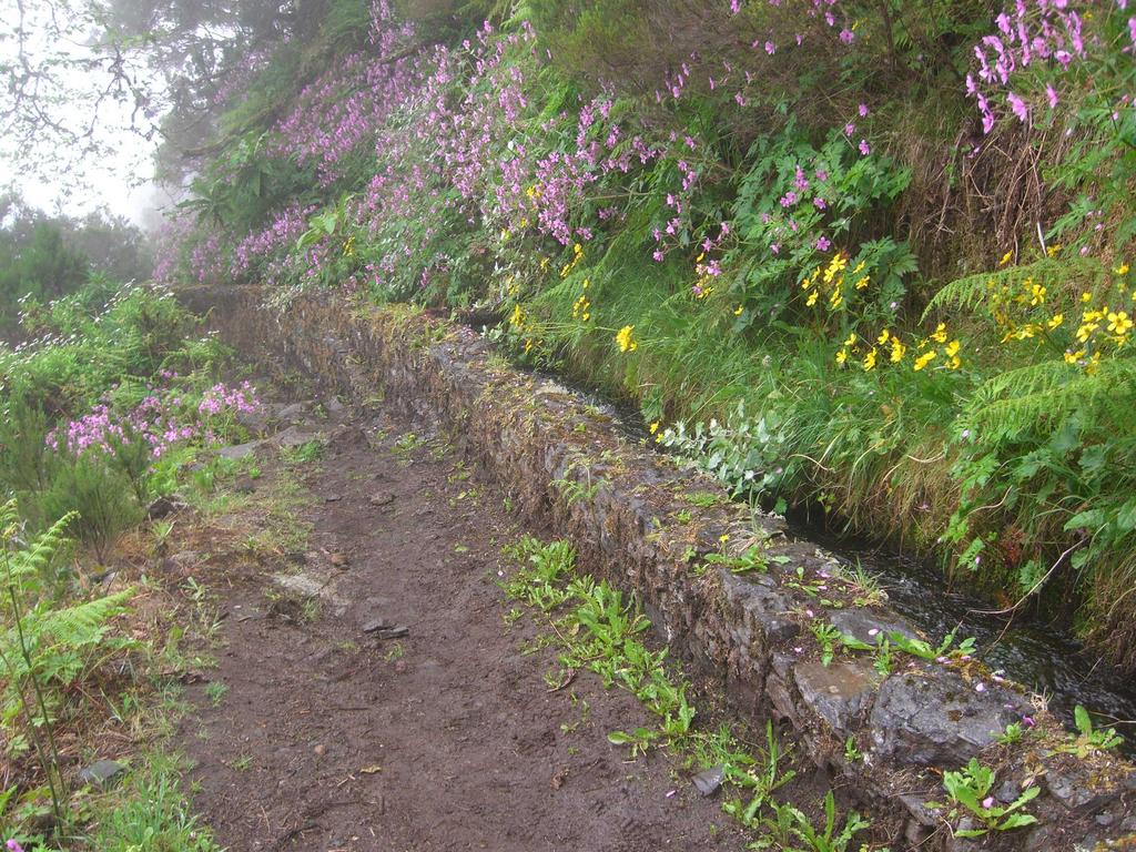 Wanderweg entlang einer alten Levada