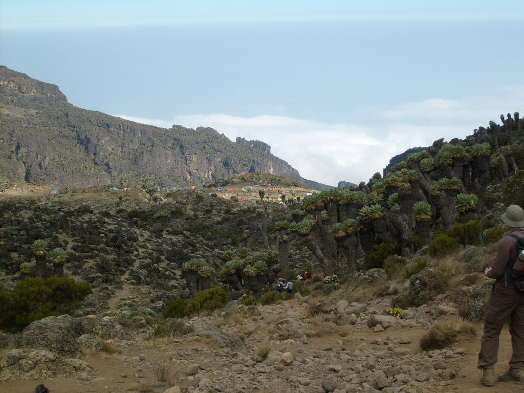 Kilimanjaro-Besteigung