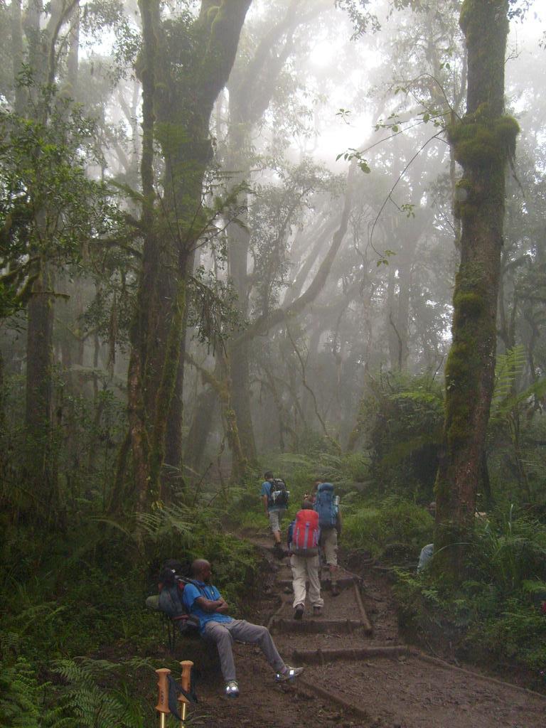 Kilimanjaro-Besteigung