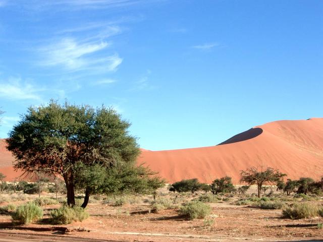 Sosussvlei 4