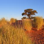 Namib Sundowner 5