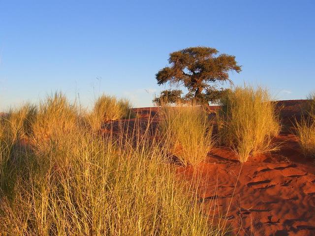 Namib Sundowner 5
