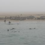 Walvis Bay 15