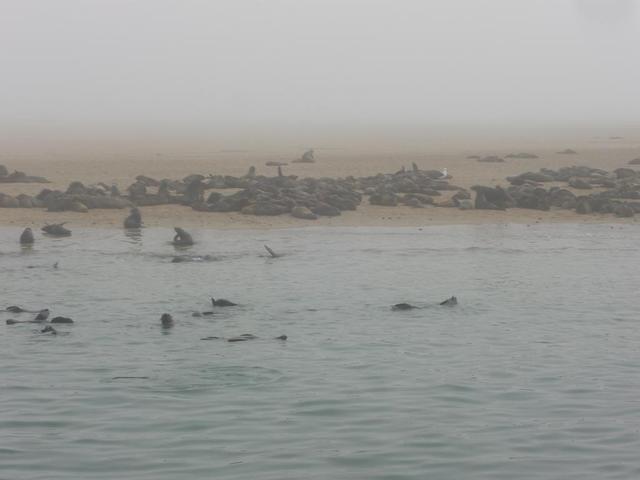 Walvis Bay 15