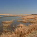 Etosha NP 27