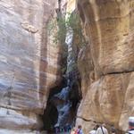 Der Siq, die Eingangsschlucht von Petra