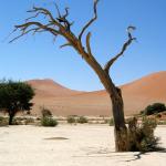 Dead Vlei, Sossusvlei