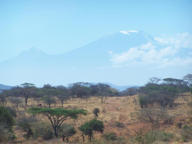 Kilimanjaro aus der Ferne