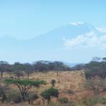 Kilimanjaro aus der Ferne