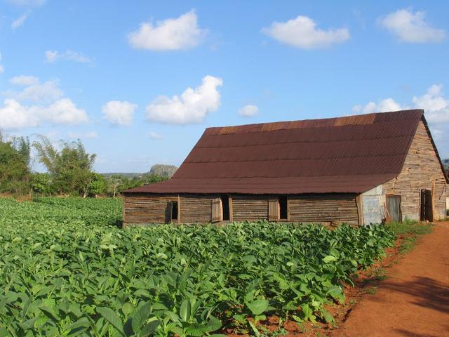 Casa del Tabacco