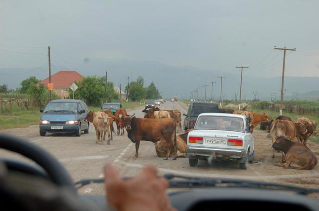 Auf der Straße nach Terskol