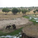 Tarangire Nationalpark