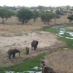 Tarangire Nationalpark