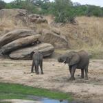 Tarangire Nationalpark