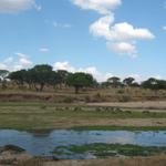 Tarangire Nationalpark