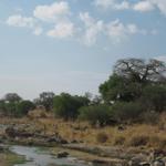 Tarangire Nationalpark