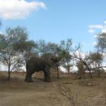 Tarangire Nationalpark