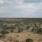 Tarangire Nationalpark