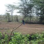 Lake Manyara Nationalpark