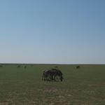 Lake Manyara Nationalpark