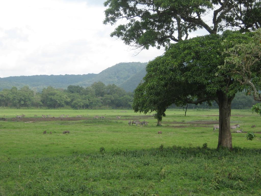 Arusha Nationalpark