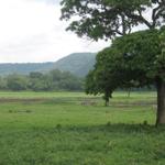 Arusha Nationalpark