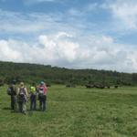 Arusha Nationalpark