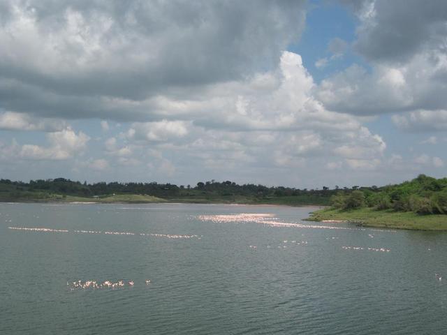 Arusha Nationalpark