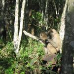 Arusha Nationalpark