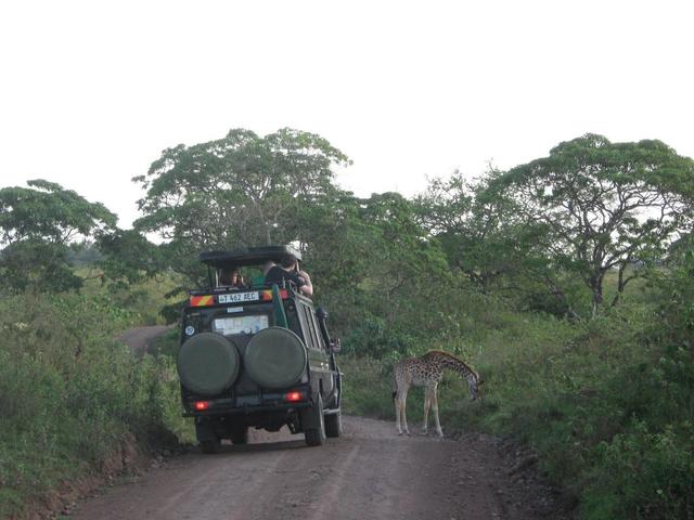 Arusha Nationalpark