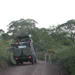 Arusha Nationalpark